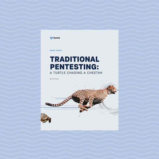 White Paper: Traditional Pentesting
