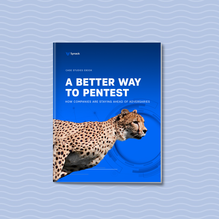 eBook: A Better Way to Pentest