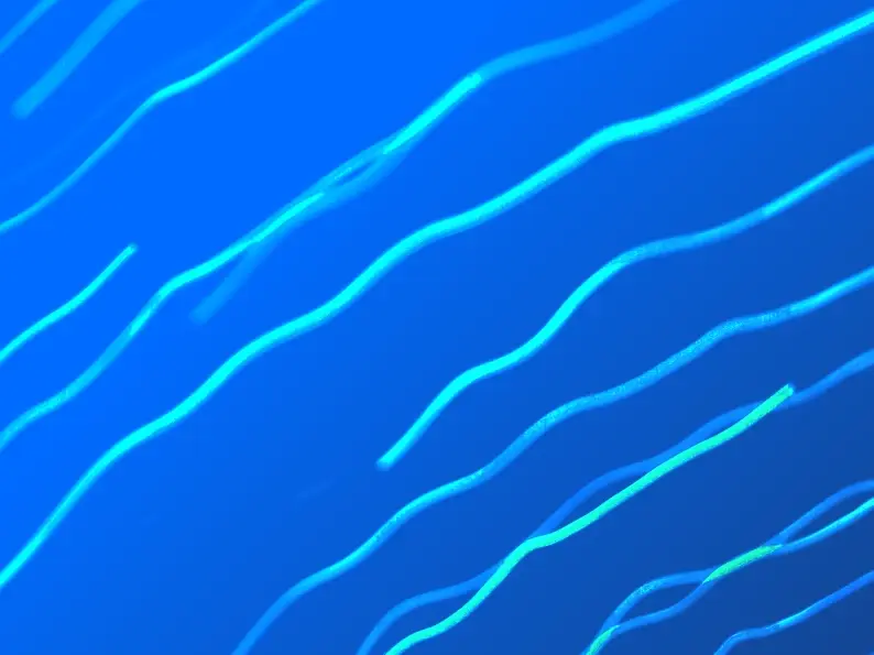 Abstract wavy blue and teal light lines flowing diagonally across a blue background.